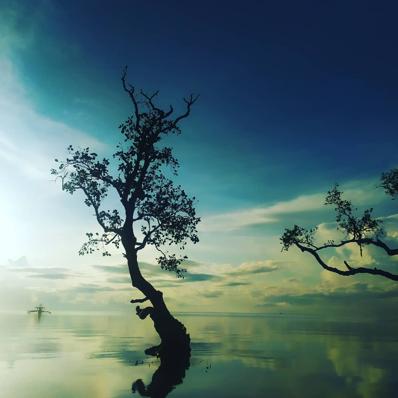 theadventureaperture #8